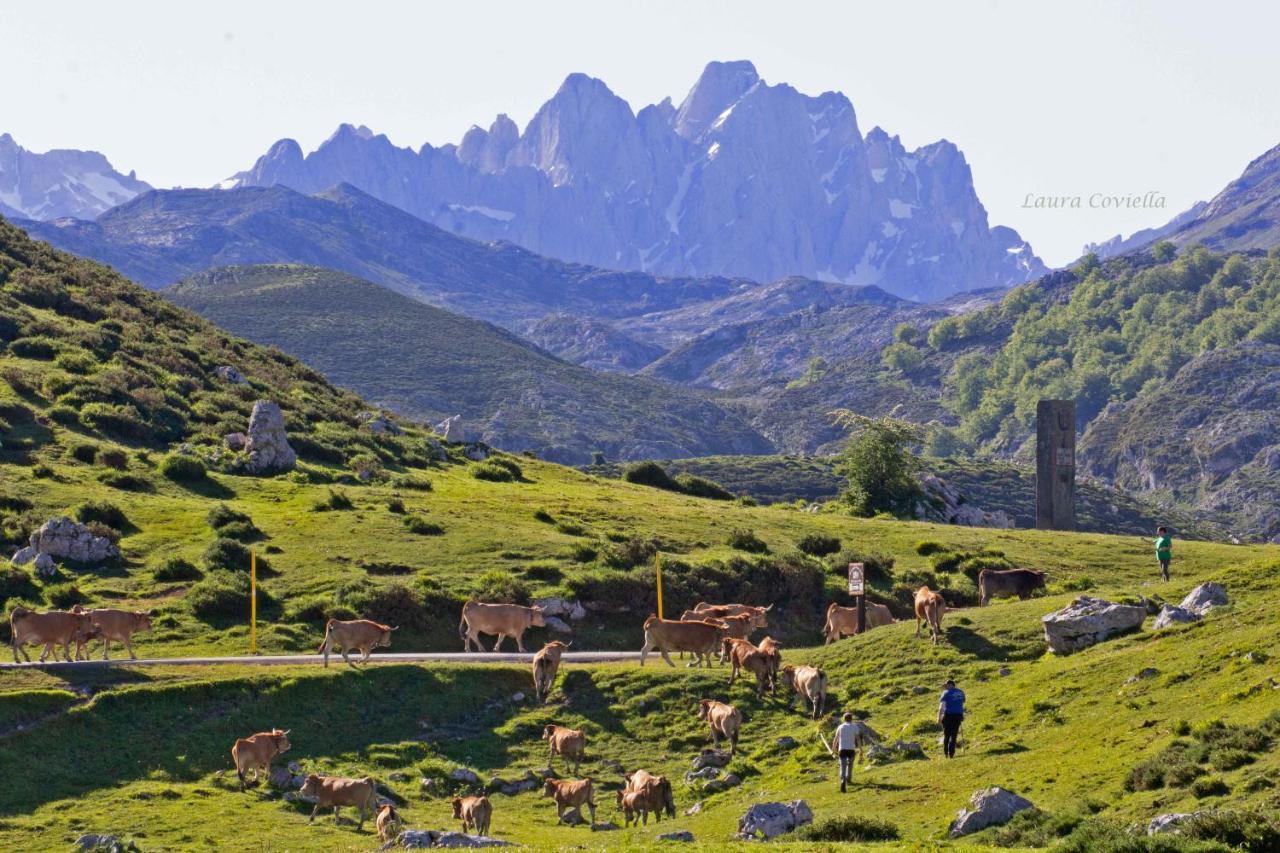 Los Campos Vivienda Vacacional Onís Buitenkant foto